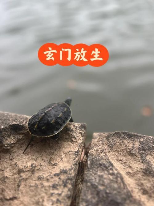 2026年2月份放生吉日