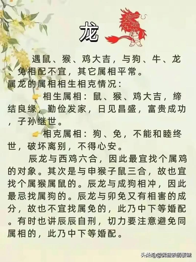 龍鼠合不合
