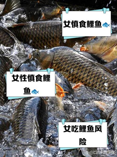 夢(mèng)見吃魚
