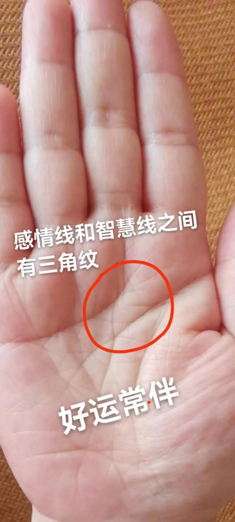 手相三條線