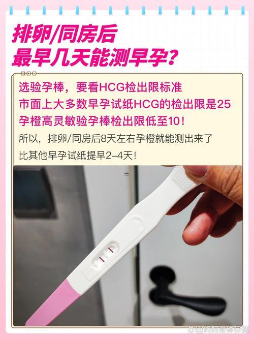 同房后多少天能測出懷孕