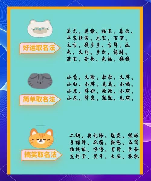 貓咪最新永久地域網(wǎng)名是什么