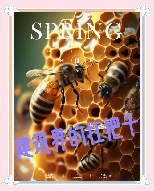 夢見蜜蜂是什么東西東西預(yù)兆