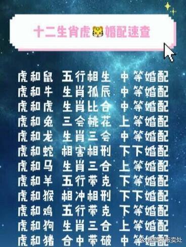 屬虎還有何事屬相相沖