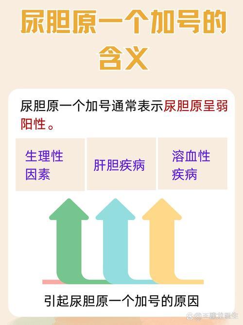 原原什么