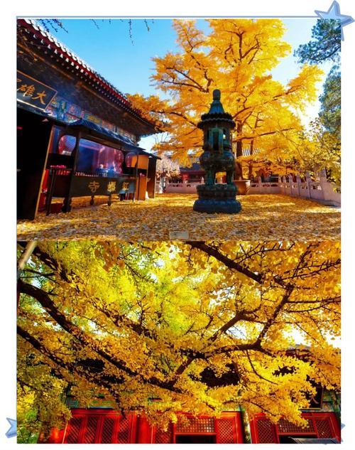 北京懷柔紅螺寺求姻緣靈嗎