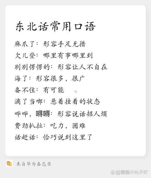 什么是作