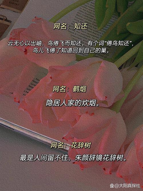 唯美的網(wǎng)名