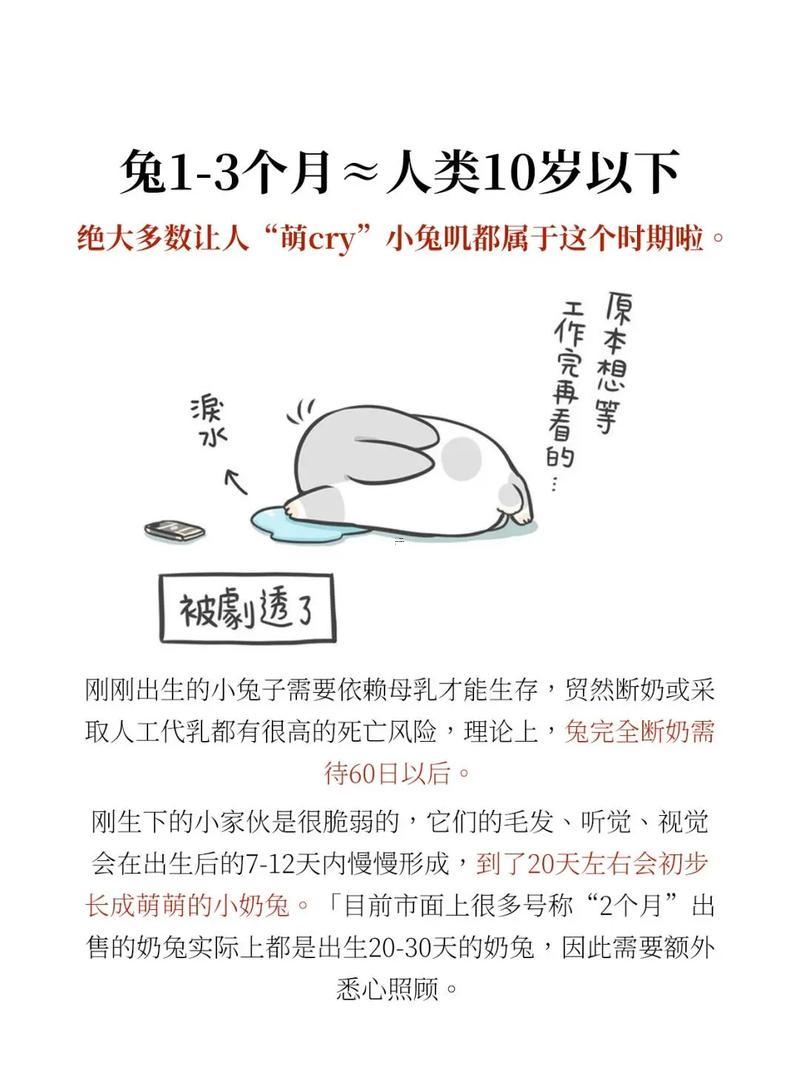 兔子多少歲