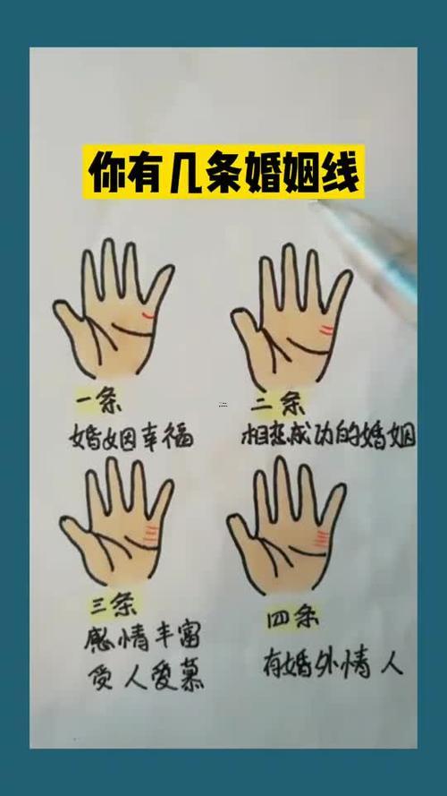 婚姻線圖解大全