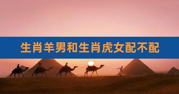 羊與虎相配婚姻怎樣