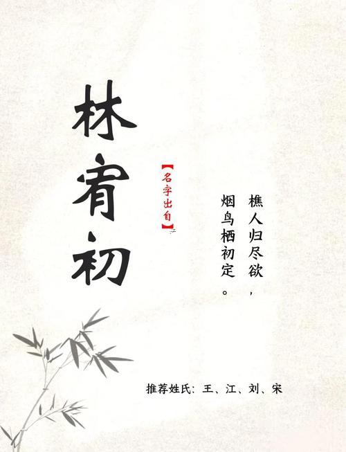 林姓男孩起名
