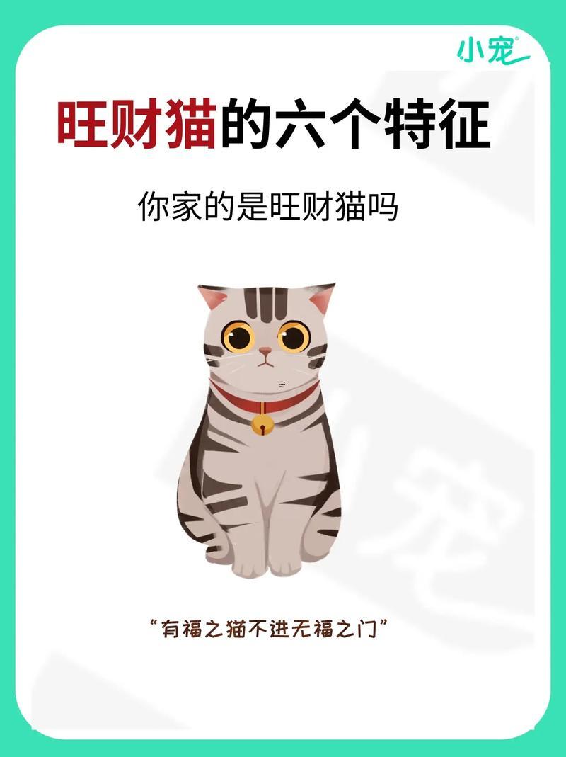 何事顏色的貓最旺財(cái)