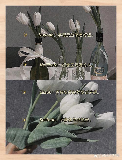 相對(duì)吸引人的昵稱