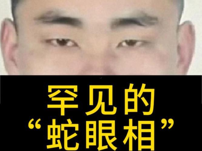 蛇眼面相