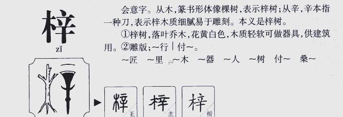 梓得意思
