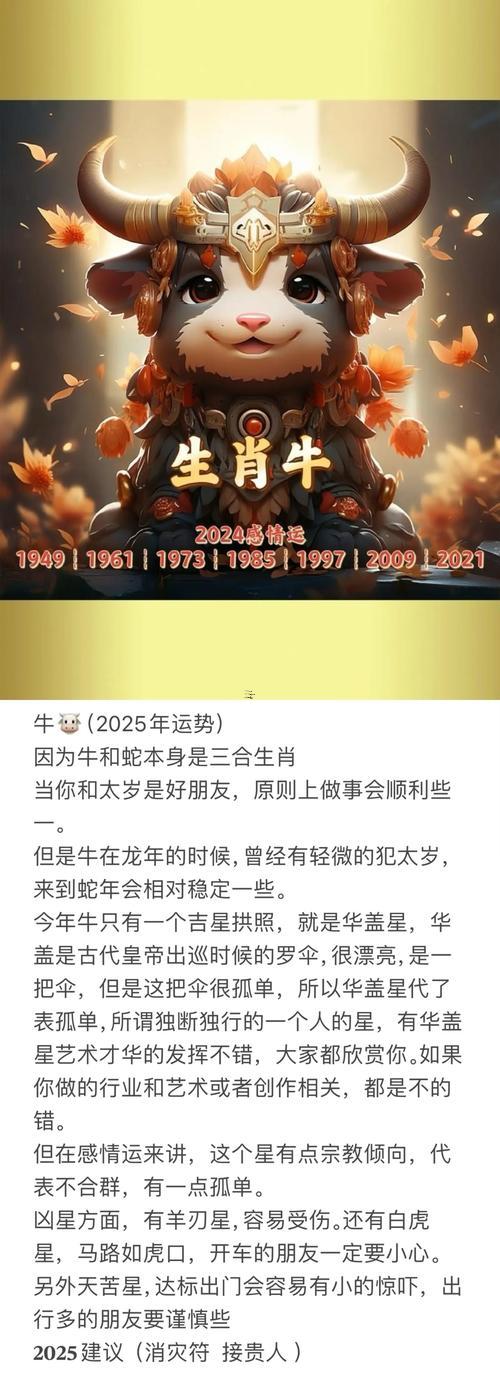 屬蛇的2025年運(yùn)勢