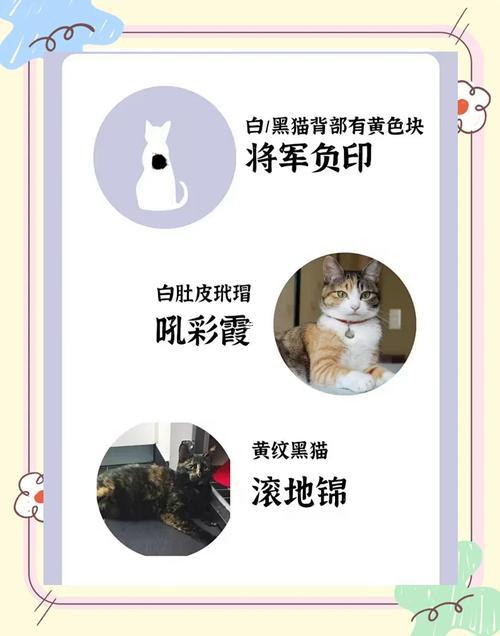 仙氣清冷古風(fēng)名字推薦