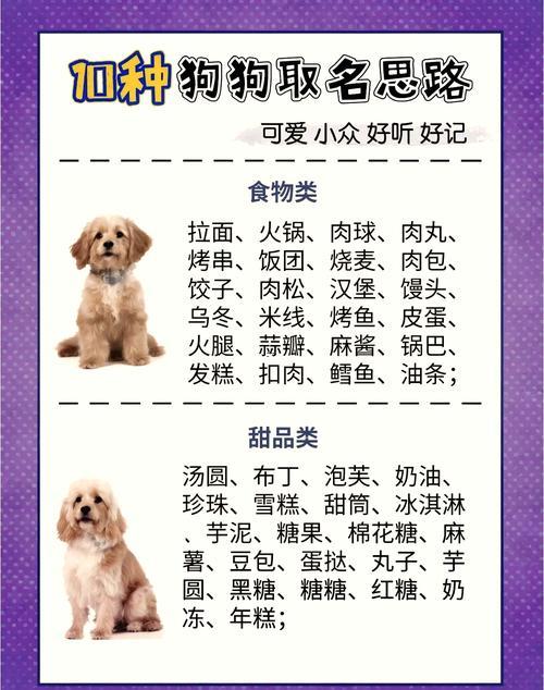 小狗狗的名字