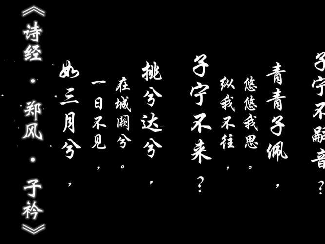 子衿啥東西意思