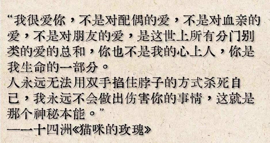夢到有人要殺我