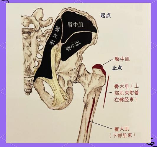 屁股得樣子