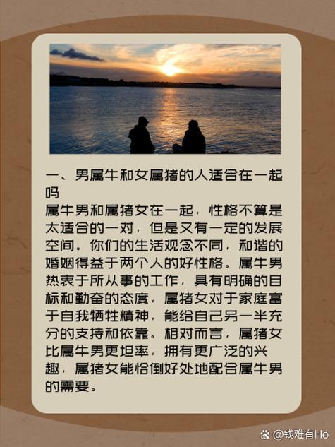 屬牛的還有屬豬的合適嗎