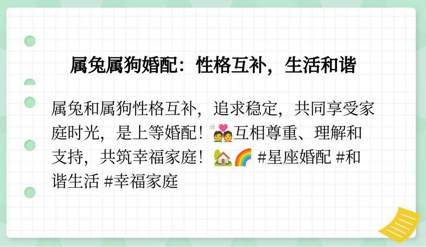 屬兔女與屬狗男得屬相合不合