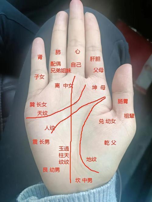 看手相算命免費
