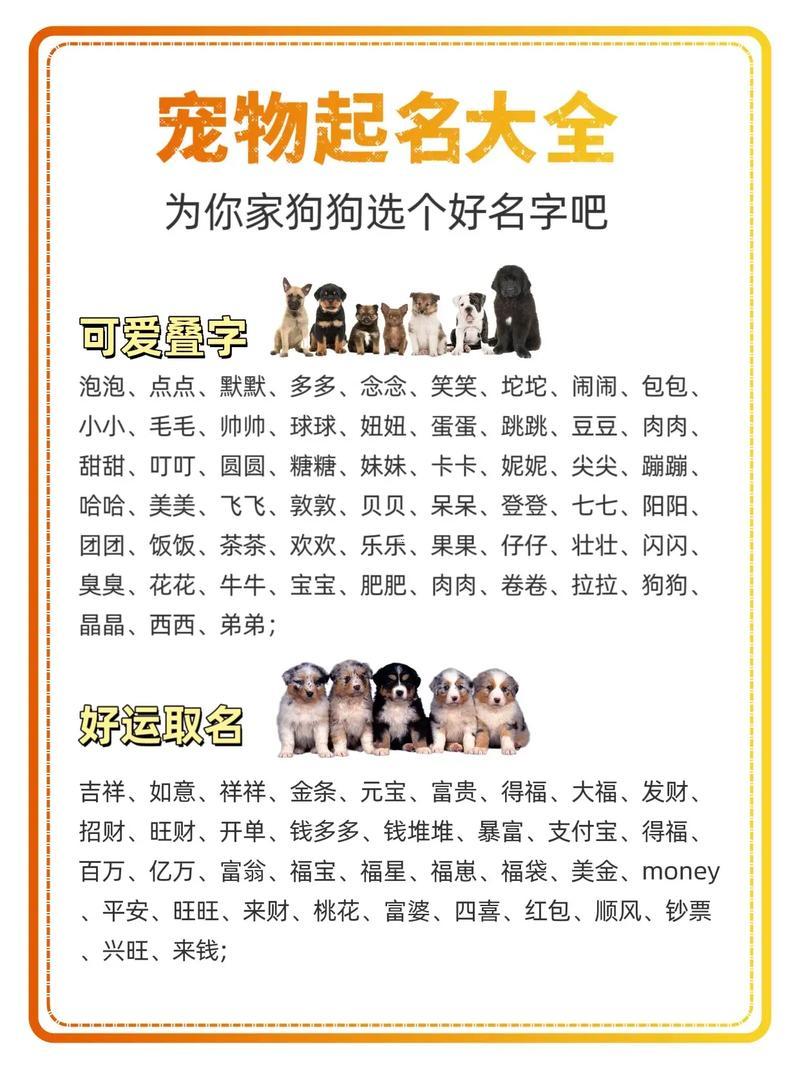 小狗的名字
