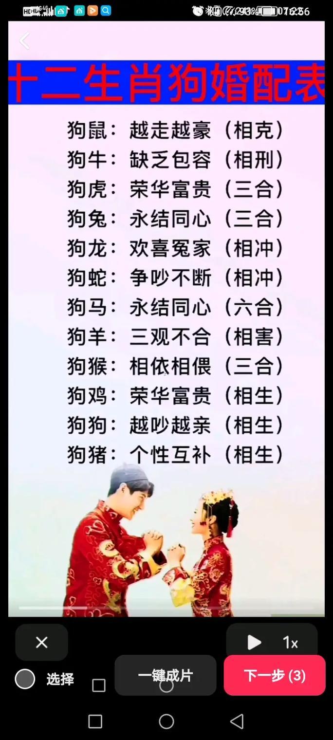 男羊女龍