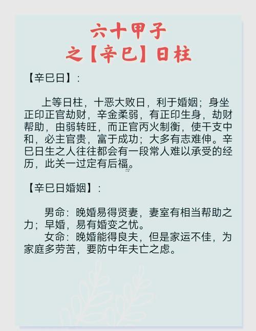 日柱辛酉婚姻宮里有比肩