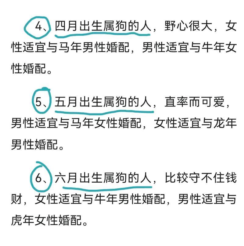 男兔女狗