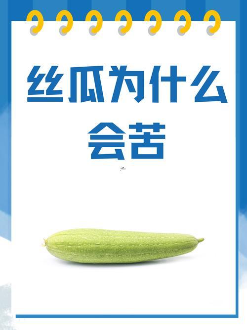 夢(mèng)見絲瓜