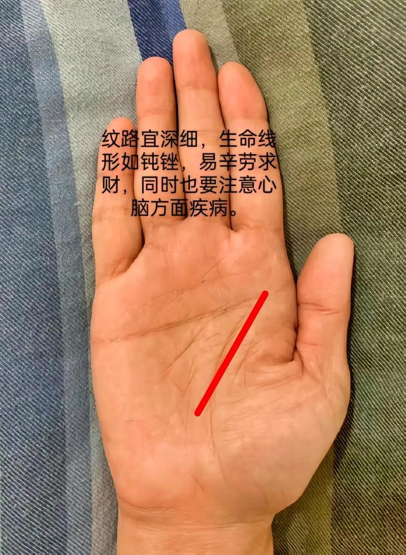 手相測試