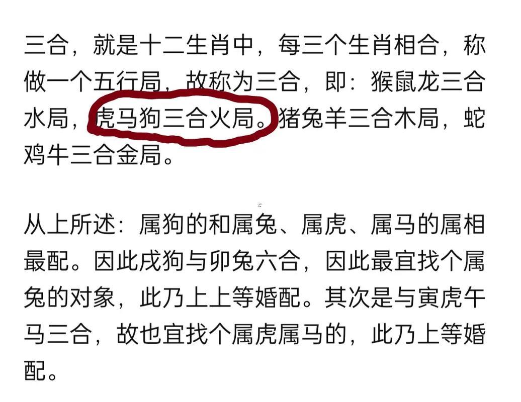 屬狗還有屬何事東西的最好