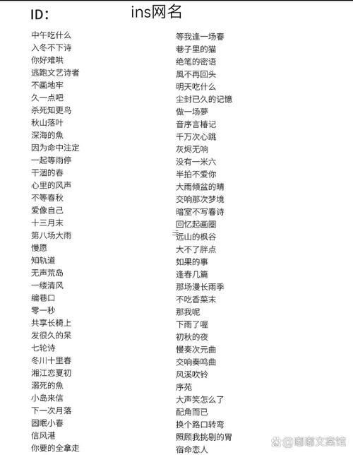 好辦漲粉的快手名字兩個(gè)字