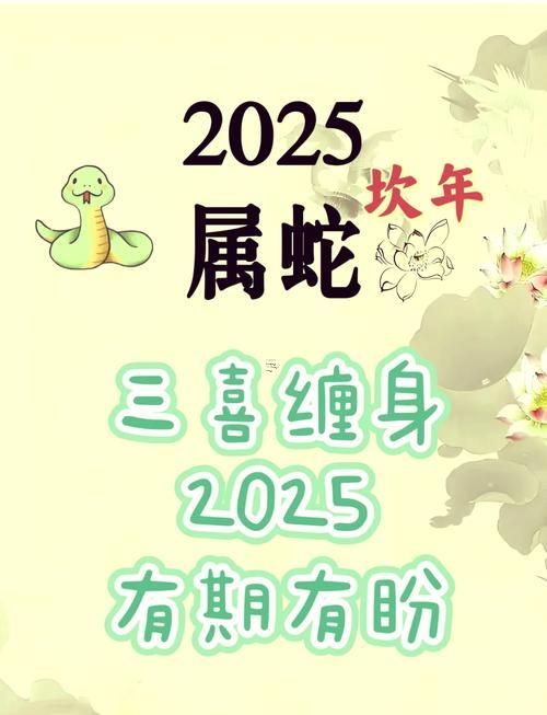 2025年屬蛇納音是啥命