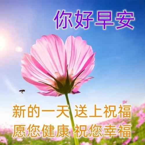 禮拜六個(gè)性網(wǎng)名