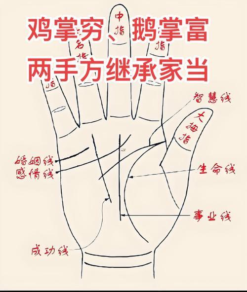 手相看財(cái)運(yùn)