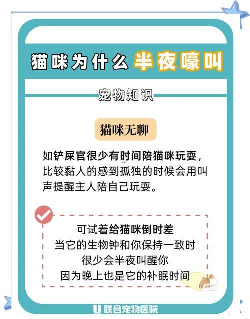夢到白貓說話周公解夢