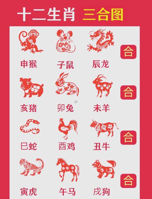 屬鼠同屬猴的合不合