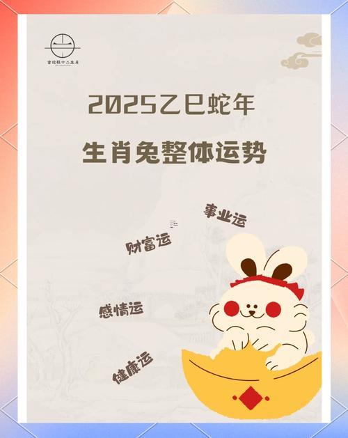 屬兔人2025年運勢與運程