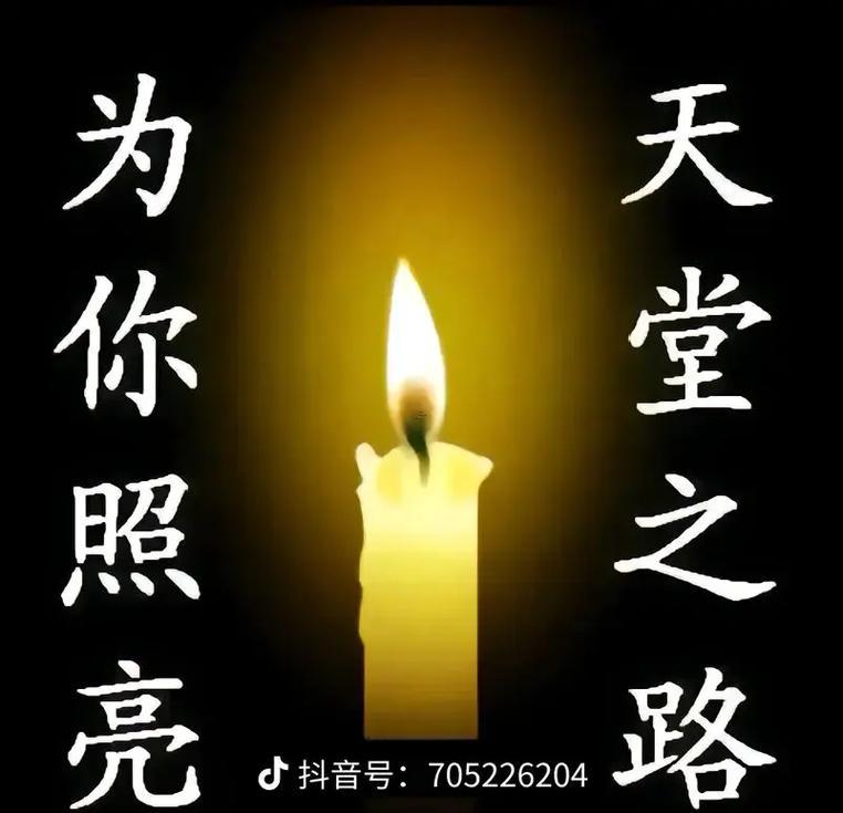 屬兔的2025年八月披麻戴孝