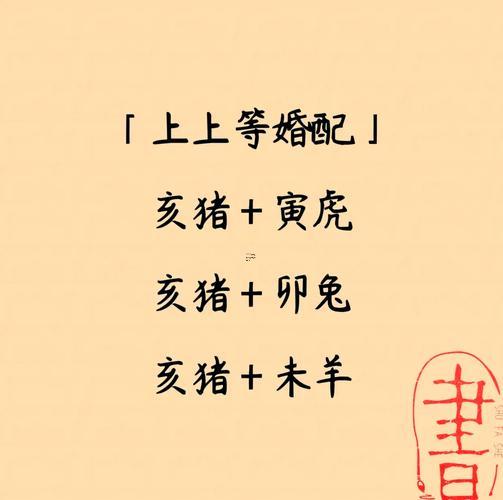 豬的最佳配偶屬相