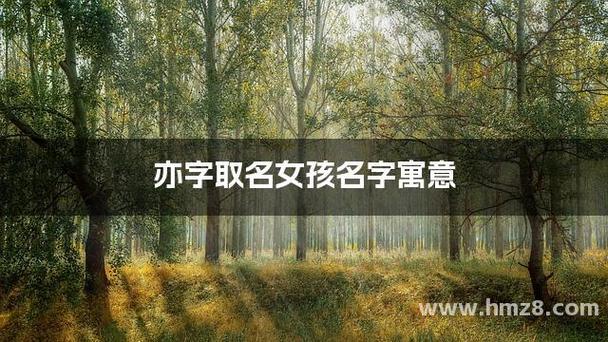 還字取名寓意好嗎