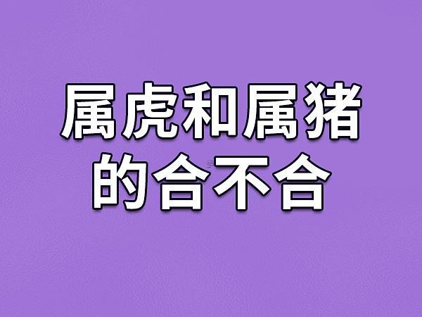 屬豬的人可能要屬虎的孩子嗎