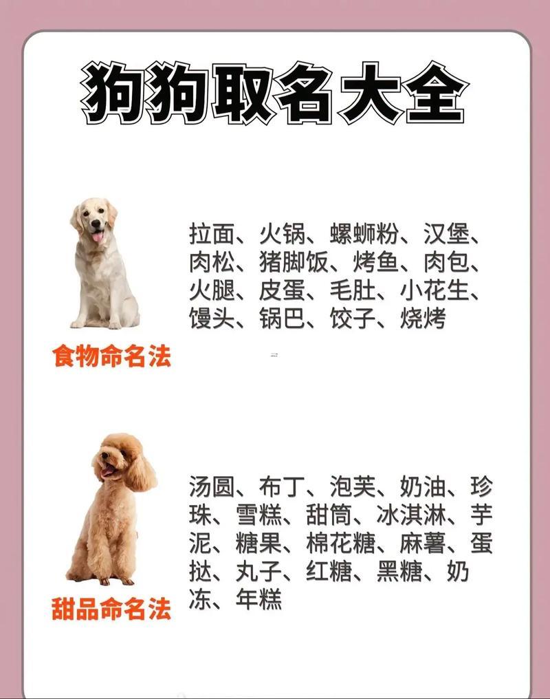 寵物名字
