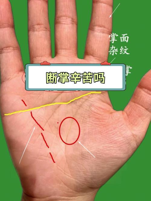 斷掌手相