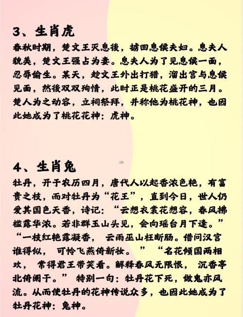 十二生肖代號